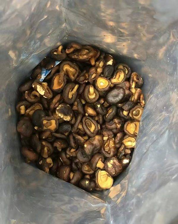 Yu Shiitake Mushroom Crisps